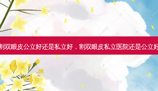 割双眼皮公立好还是私立好,割双眼皮私立医院还是公立好-第1张图片-美呗严选网 割双眼皮公立好还是私立好,割双眼皮私立医院还是公立好-第1张图片-美呗严选网