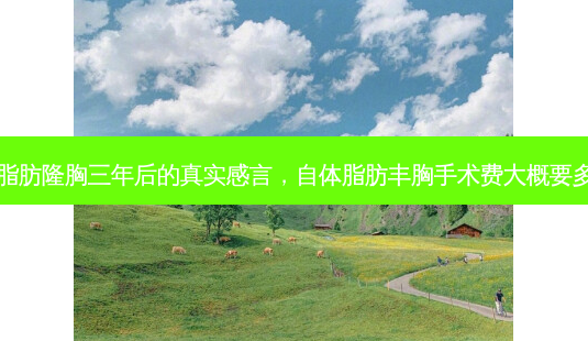 自体脂肪隆胸三年后的真实感言,自体脂肪丰胸手术费大概要多少钱-第1张图片-美呗严选网 自体脂肪隆胸三年后的真实感言,自体脂肪丰胸手术费大概要多少钱-第1张图片-美呗严选网