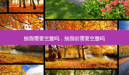 抽脂需要空腹吗,抽脂前需要空腹吗-第1张图片-美呗严选网 抽脂需要空腹吗,抽脂前需要空腹吗-第1张图片-美呗严选网
