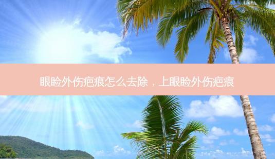 眼睑外伤疤痕怎么去除,上眼睑外伤疤痕-第1张图片-美呗严选网 眼睑外伤疤痕怎么去除,上眼睑外伤疤痕-第1张图片-美呗严选网