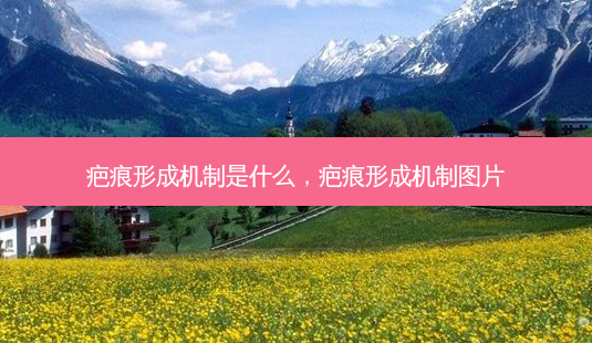 疤痕形成机制是什么,疤痕形成机制图片-第1张图片-美呗严选网 疤痕形成机制是什么,疤痕形成机制图片-第1张图片-美呗严选网