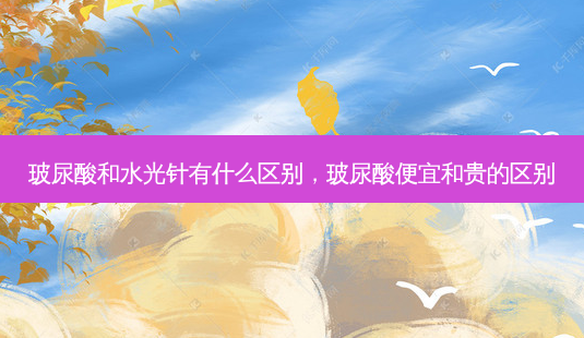 玻尿酸和水光针有什么区别,玻尿酸便宜和贵的区别-第1张图片-美呗严选网 玻尿酸和水光针有什么区别,玻尿酸便宜和贵的区别-第1张图片-美呗严选网