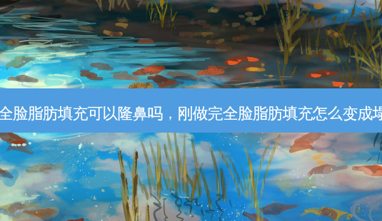 刚做完全脸脂肪填充可以隆鼻吗,刚做完全脸脂肪填充怎么变成塌鼻子了-第1张图片-美呗严选网 刚做完全脸脂肪填充可以隆鼻吗,刚做完全脸脂肪填充怎么变成塌鼻子了-第1张图片-美呗严选网