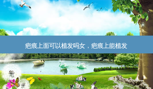 疤痕上面可以植发吗女,疤痕上能植发-第1张图片-美呗严选网 疤痕上面可以植发吗女,疤痕上能植发-第1张图片-美呗严选网