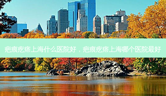 疤痕疙瘩上海什么医院好,疤痕疙瘩上海哪个医院好-第1张图片-美呗严选网 疤痕疙瘩上海什么医院好,疤痕疙瘩上海哪个医院好-第1张图片-美呗严选网