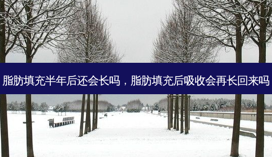 脂肪填充半年后还会长吗,脂肪填充后吸收会再长回来吗-第1张图片-美呗严选网 脂肪填充半年后还会长吗,脂肪填充后吸收会再长回来吗-第1张图片-美呗严选网