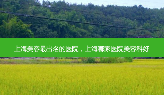 上海美容出名的医院,上海哪家医院美容科好-第1张图片-美呗严选网 上海美容出名的医院,上海哪家医院美容科好-第1张图片-美呗严选网