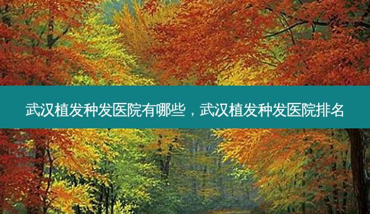 武汉植发种发医院有哪些,武汉植发种发医院排名-第1张图片-美呗严选网 武汉植发种发医院有哪些,武汉植发种发医院排名-第1张图片-美呗严选网