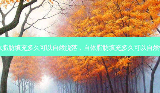 自体脂肪填充多久可以自然脱落,自体脂肪填充多久可以自然怀孕-第1张图片-美呗严选网 自体脂肪填充多久可以自然脱落,自体脂肪填充多久可以自然怀孕-第1张图片-美呗严选网
