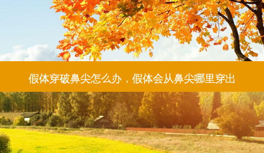 假体穿破鼻尖怎么办,假体会从鼻尖哪里穿出-第1张图片-美呗严选网 假体穿破鼻尖怎么办,假体会从鼻尖哪里穿出-第1张图片-美呗严选网
