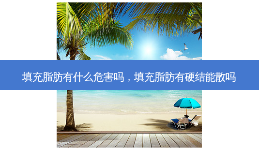 填充脂肪有什么危害吗,填充脂肪有硬结能散吗-第1张图片-美呗严选网 填充脂肪有什么危害吗,填充脂肪有硬结能散吗-第1张图片-美呗严选网