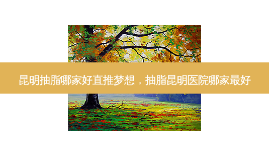 昆明抽脂哪家好直推梦想,抽脂昆明医院哪家好-第1张图片-美呗严选网 昆明抽脂哪家好直推梦想,抽脂昆明医院哪家好-第1张图片-美呗严选网