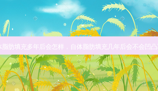 自体脂肪填充多年后会怎样,自体脂肪填充几年后会不会凹凸不平-第1张图片-美呗严选网 自体脂肪填充多年后会怎样,自体脂肪填充几年后会不会凹凸不平-第1张图片-美呗严选网