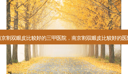 南京割双眼皮比较好的三甲医院,南京割双眼皮比较好的医院-第1张图片-美呗严选网 南京割双眼皮比较好的三甲医院,南京割双眼皮比较好的医院-第1张图片-美呗严选网