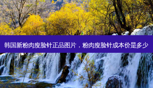 韩国新粉肉瘦脸针正品图片,粉肉瘦脸针成本价是多少-第1张图片-美呗严选网 韩国新粉肉瘦脸针正品图片,粉肉瘦脸针成本价是多少-第1张图片-美呗严选网