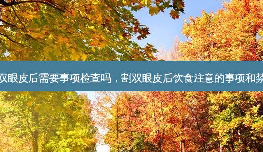 割双眼皮后需要事项检查吗,割双眼皮后饮食注意的事项和禁忌-第1张图片-美呗严选网 割双眼皮后需要事项检查吗,割双眼皮后饮食注意的事项和禁忌-第1张图片-美呗严选网