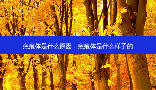 疤痕体是什么原因，疤痕体是什么样子的-第1张图片-美呗严选网