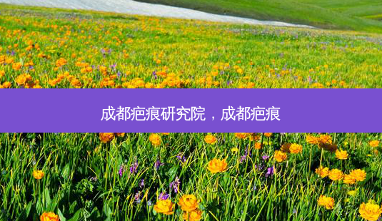 成都疤痕研究院,成都疤痕-第1张图片-美呗严选网 成都疤痕研究院,成都疤痕-第1张图片-美呗严选网