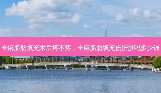 全麻脂肪填充术后疼不疼,全麻脂肪填充伤肝脏吗多少钱-第1张图片-美呗严选网 全麻脂肪填充术后疼不疼,全麻脂肪填充伤肝脏吗多少钱-第1张图片-美呗严选网