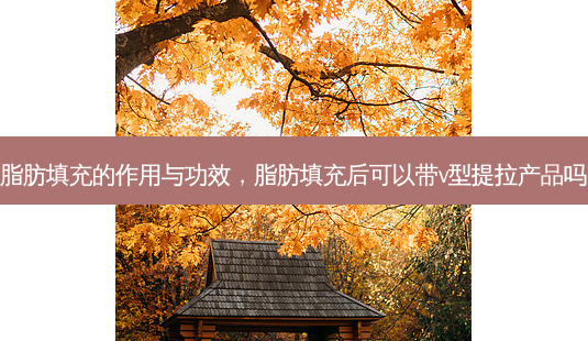 脂肪填充的作用与功效,脂肪填充后可以带v型提拉产品吗-第1张图片-美呗严选网 脂肪填充的作用与功效,脂肪填充后可以带v型提拉产品吗-第1张图片-美呗严选网