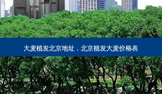 大麦植发北京地址,北京植发大麦价格表-第1张图片-美呗严选网 大麦植发北京地址,北京植发大麦价格表-第1张图片-美呗严选网