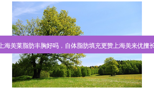 上海美莱脂肪丰胸好吗,自体脂肪填充更赞上海美来优擅长-第1张图片-美呗严选网 上海美莱脂肪丰胸好吗,自体脂肪填充更赞上海美来优擅长-第1张图片-美呗严选网