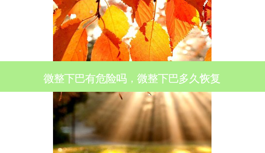 微整下巴有危险吗,微整下巴多久恢复-第1张图片-美呗严选网 微整下巴有危险吗,微整下巴多久恢复-第1张图片-美呗严选网
