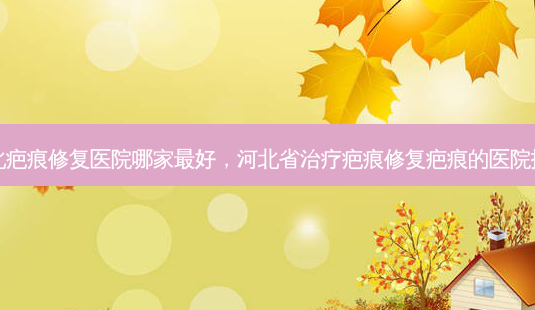 河北疤痕修复医院哪家好,河北省疤痕修复疤痕的医院排名-第1张图片-美呗严选网 河北疤痕修复医院哪家好,河北省疤痕修复疤痕的医院排名-第1张图片-美呗严选网