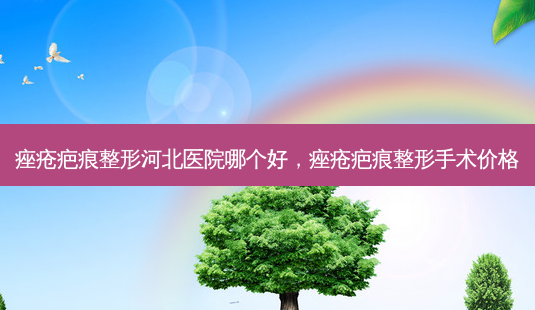 痤疮疤痕整形河北医院哪个好，痤疮疤痕整形手术价格-第1张图片-美呗严选网