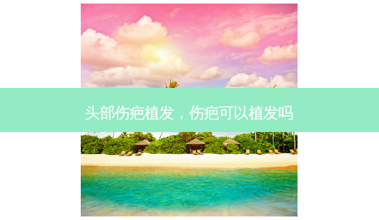 头部伤疤植发,伤疤可以植发吗-第1张图片-美呗严选网 头部伤疤植发,伤疤可以植发吗-第1张图片-美呗严选网