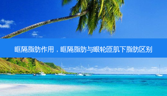 眶隔脂肪作用,眶隔脂肪与眼轮匝肌下脂肪区别-第1张图片-美呗严选网 眶隔脂肪作用,眶隔脂肪与眼轮匝肌下脂肪区别-第1张图片-美呗严选网