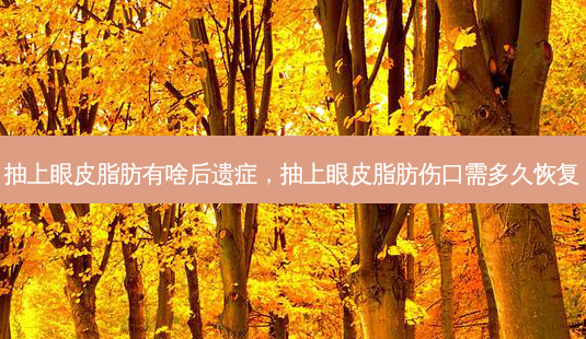 抽上眼皮脂肪有啥后遗症,抽上眼皮脂肪伤口需多久恢复-第1张图片-美呗严选网 抽上眼皮脂肪有啥后遗症,抽上眼皮脂肪伤口需多久恢复-第1张图片-美呗严选网