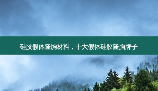 硅胶假体隆胸材料,十大假体硅胶隆胸牌子-第1张图片-美呗严选网 硅胶假体隆胸材料,十大假体硅胶隆胸牌子-第1张图片-美呗严选网