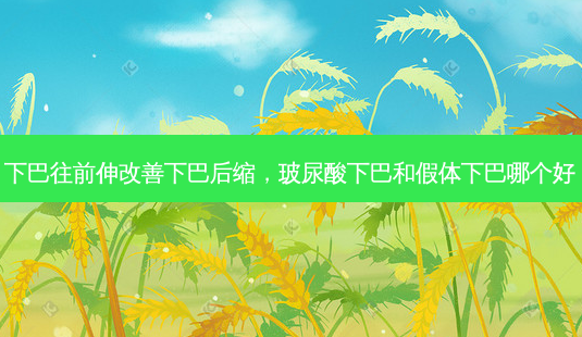 下巴往前伸下巴后缩,玻尿酸下巴和假体下巴哪个好-第1张图片-美呗严选网 下巴往前伸下巴后缩,玻尿酸下巴和假体下巴哪个好-第1张图片-美呗严选网