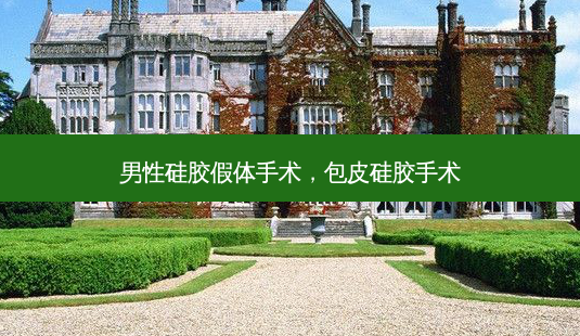 男性硅胶假体手术,包皮硅胶手术-第1张图片-美呗严选网 男性硅胶假体手术,包皮硅胶手术-第1张图片-美呗严选网