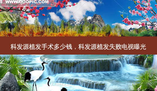 科发源植发手术多少钱,科发源植发失败电视曝光-第1张图片-美呗严选网 科发源植发手术多少钱,科发源植发失败电视曝光-第1张图片-美呗严选网