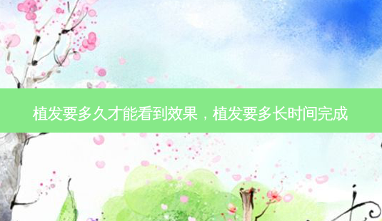 植发要多久才能看到效果,植发要多长时间完成-第1张图片-美呗严选网 植发要多久才能看到效果,植发要多长时间完成-第1张图片-美呗严选网