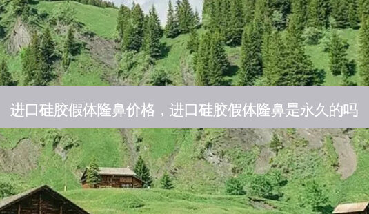 进口硅胶假体隆鼻价格,进口硅胶假体隆鼻是永久的吗-第1张图片-美呗严选网 进口硅胶假体隆鼻价格,进口硅胶假体隆鼻是永久的吗-第1张图片-美呗严选网