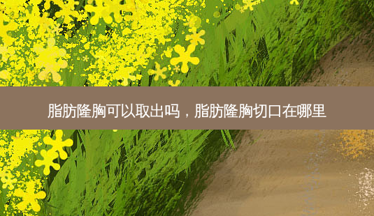 脂肪隆胸可以取出吗,脂肪隆胸切口在哪里-第1张图片-美呗严选网 脂肪隆胸可以取出吗,脂肪隆胸切口在哪里-第1张图片-美呗严选网