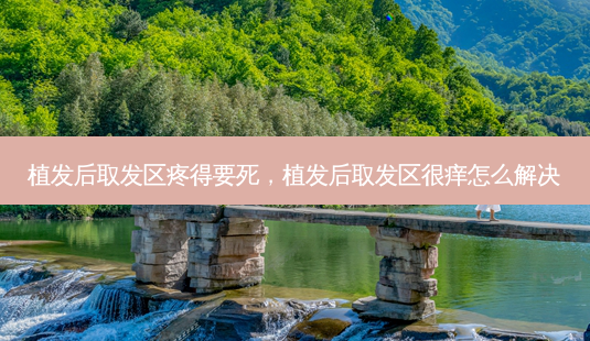 植发后取发区疼得要死,植发后取发区很痒怎么解决-第1张图片-美呗严选网 植发后取发区疼得要死,植发后取发区很痒怎么解决-第1张图片-美呗严选网