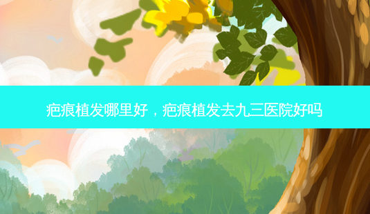 疤痕植发哪里好,疤痕植发去九三医院好吗-第1张图片-美呗严选网 疤痕植发哪里好,疤痕植发去九三医院好吗-第1张图片-美呗严选网