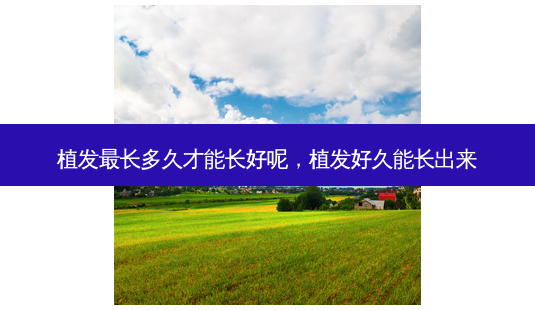 植发长多久才能长好呢,植发好久能长出来-第1张图片-美呗严选网 植发长多久才能长好呢,植发好久能长出来-第1张图片-美呗严选网