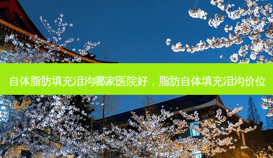 自体脂肪填充泪沟哪家医院好,脂肪自体填充泪沟价位-第1张图片-美呗严选网 自体脂肪填充泪沟哪家医院好,脂肪自体填充泪沟价位-第1张图片-美呗严选网