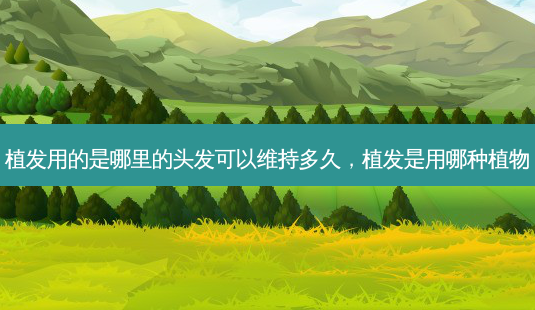 植发用的是哪里的头发可以维持多久,植发是用哪种植物-第1张图片-美呗严选网 植发用的是哪里的头发可以维持多久,植发是用哪种植物-第1张图片-美呗严选网
