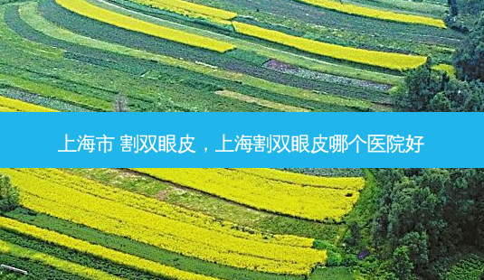 上海市 割双眼皮,上海割双眼皮哪个医院好-第1张图片-美呗严选网 上海市 割双眼皮,上海割双眼皮哪个医院好-第1张图片-美呗严选网
