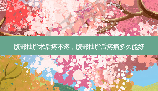 腹部抽脂术后疼不疼,腹部抽脂后疼痛多久能好-第1张图片-美呗严选网 腹部抽脂术后疼不疼,腹部抽脂后疼痛多久能好-第1张图片-美呗严选网