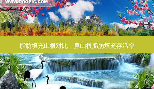 脂肪填充山根对比,鼻山根脂肪填充-第1张图片-美呗严选网 脂肪填充山根对比,鼻山根脂肪填充-第1张图片-美呗严选网