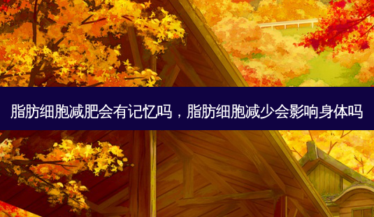 脂肪细胞减肥会有记忆吗,脂肪细胞减少会影响身体吗-第1张图片-美呗严选网 脂肪细胞减肥会有记忆吗,脂肪细胞减少会影响身体吗-第1张图片-美呗严选网