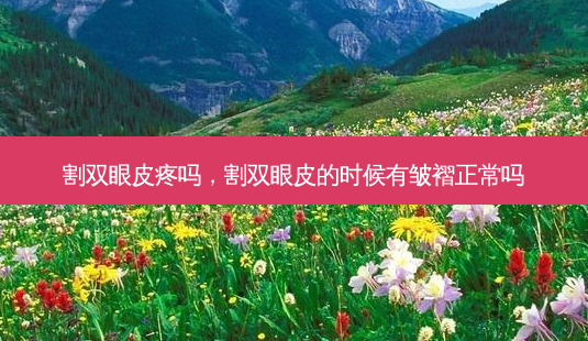 割双眼皮疼吗,割双眼皮的时候有皱褶正常吗-第1张图片-美呗严选网 割双眼皮疼吗,割双眼皮的时候有皱褶正常吗-第1张图片-美呗严选网