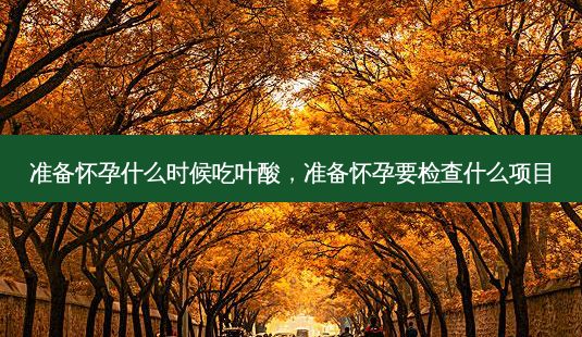 准备怀孕什么时候吃叶酸,准备怀孕要检查什么项目-第1张图片-美呗严选网 准备怀孕什么时候吃叶酸,准备怀孕要检查什么项目-第1张图片-美呗严选网